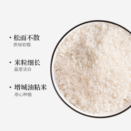 新穗增城油粘米10KG长粒香软米20斤优质籼米南方大米籼米当季新米 - 图0