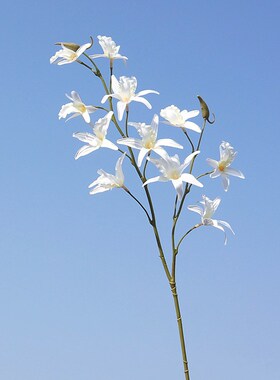 仿真花石斛兰单枝2叉金钗