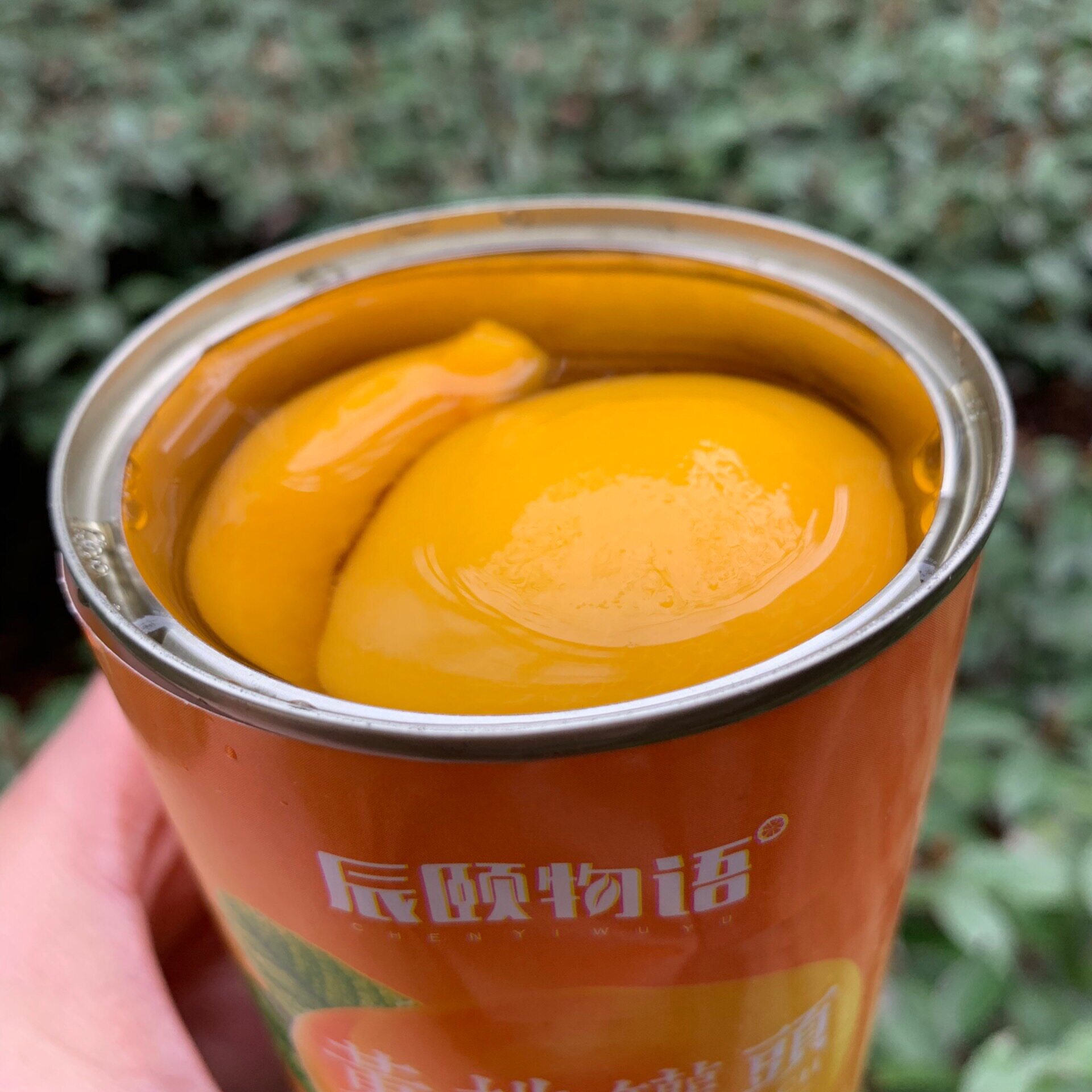 安徽砀山糖水新鲜桃子水果捞*罐头 味悠美食品水果罐头