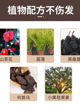 beyondbeauty一次性美发棒遮盖