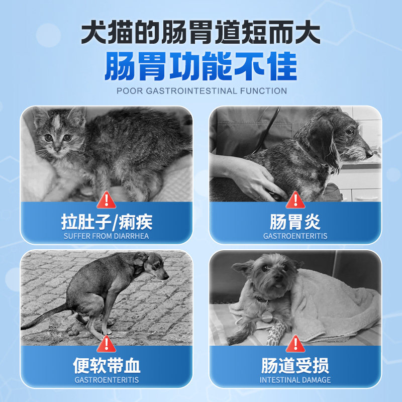 鑫安猫咪拉稀止泻药狗狗拉肚子软便宠物幼犬用肠胃炎症止吐安肠清_虎窝淘