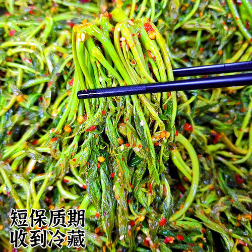 鲜嫩头茬凉拌香椿芽整棵梅小菜香椿酱香辣春芽下饭菜腌制咸菜恩施 - 图0