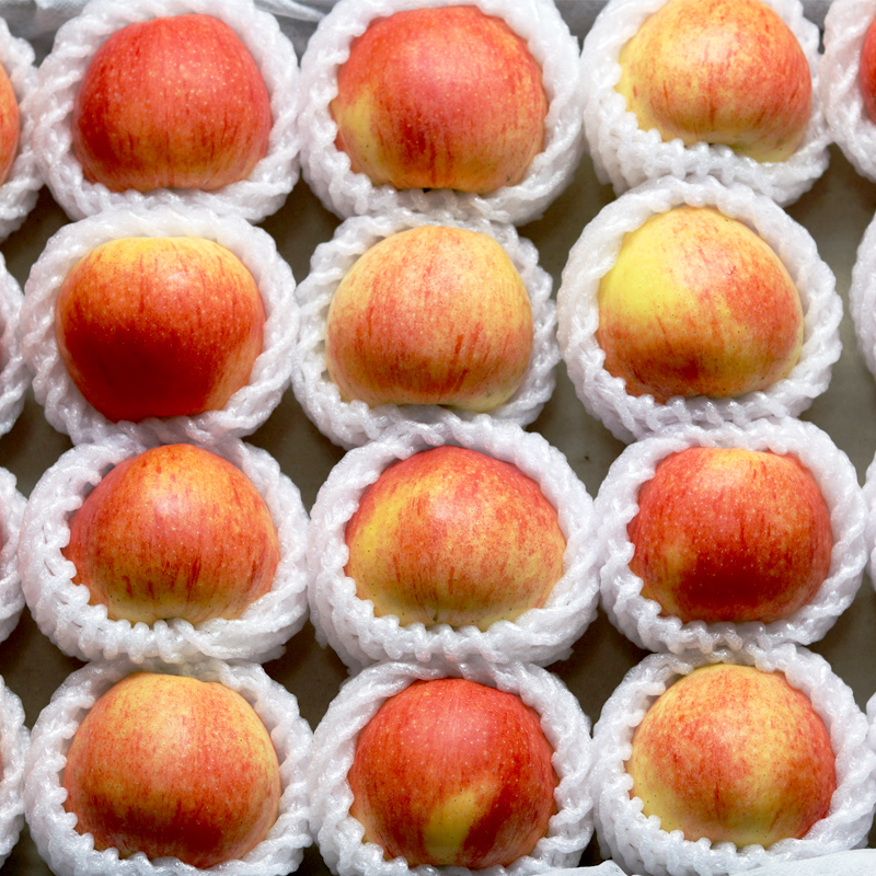 红宝利旗舰店新疆阿克苏红嘎啦果苹果水果新鲜一箱包邮当季新品现摘红富士苹果2