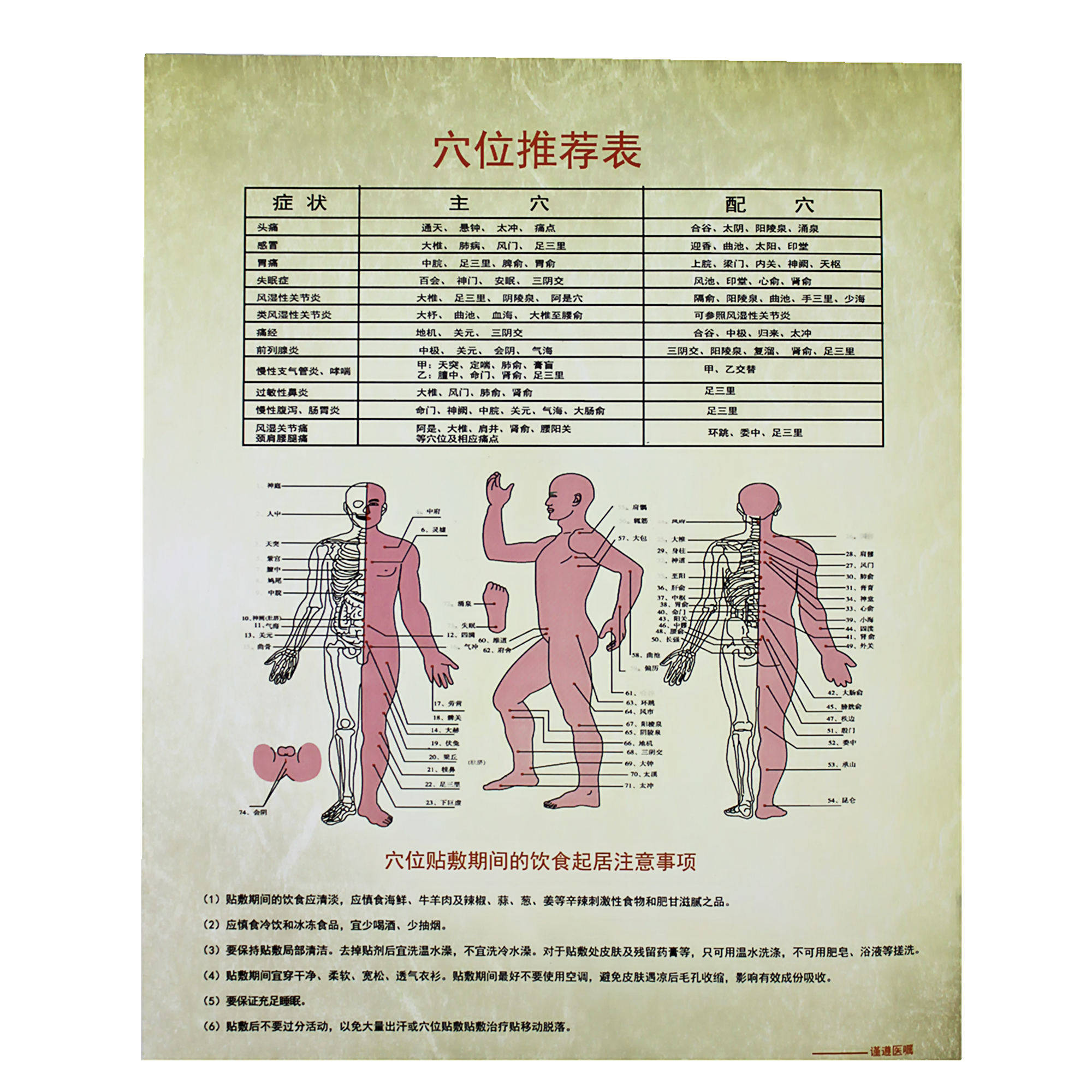 舜师三伏贴正品艾草贴三九穴位贴敷 沃派尔医疗器械膏药贴（器械）