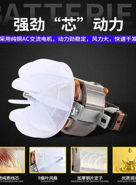 风大师2100电吹风速干理发店护发