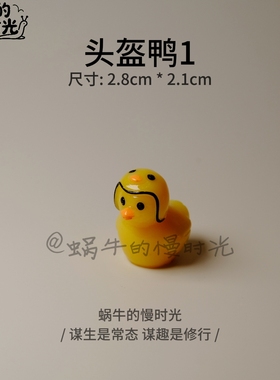 一对情侣鸭车载摆件 头盔鸭汽车装饰 可爱桌面摆件闺蜜生日礼物