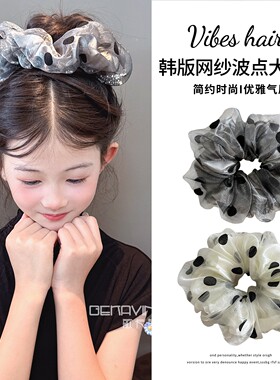 波点大肠发圈高级感扎头发女士韩系发饰女士头绳儿童2026新款发绳