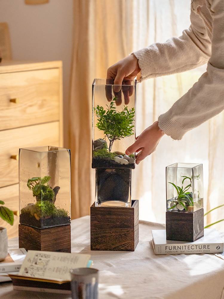 掬涵方口木托玻璃花瓶摆件透明水养鲜花干花客厅餐桌插花装饰花器 - 图2