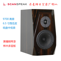 National Goods Boutique and Jackie Sound 6 5 inches Gentleman Baosi Guapi Bookshelf speaker Black Honolulu Piano Lacquer 18W8531