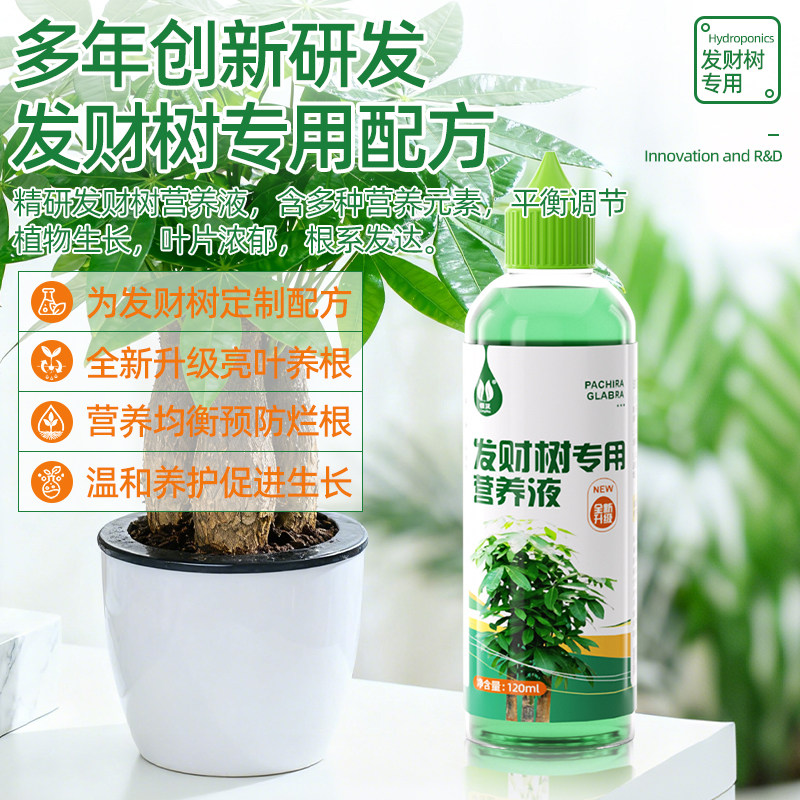 发财树专用营养液防黄叶烂根掉叶水培植物肥料富贵竹室内盆栽通用,淘宝优惠券,粉丝福利购,淘宝优惠卷