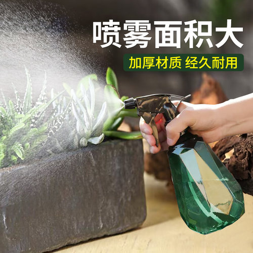 喷壶浇花喷水壶家用清洁专用超细雾状喷雾小型酒精消毒清洁洒水壶 - 图0
