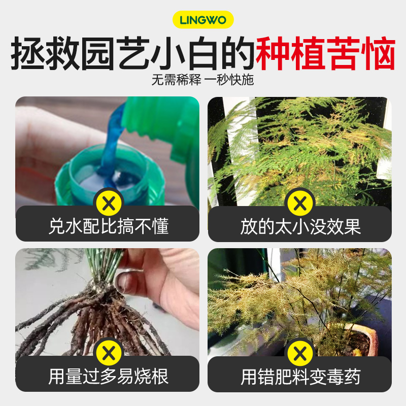 免稀释文竹专用肥营养液家用盆栽养花植物通用花肥料水土培液体肥 - 图0