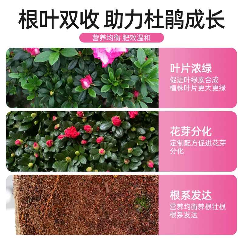 杜鹃花专用肥营养液花肥料家用盆栽花卉通用型养花酸性植物叶面肥