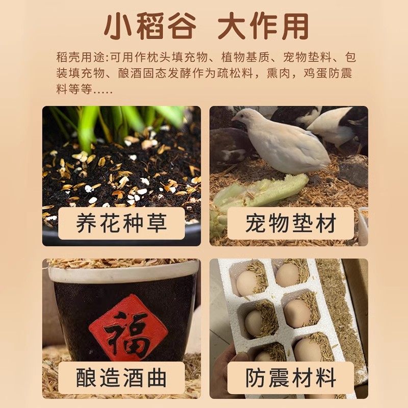 稻谷壳发酵批发垫料种菜腐熟农家种菜天然有机肥料发酵床酿酒饲料,淘宝优惠券,粉丝福利购,淘宝优惠卷