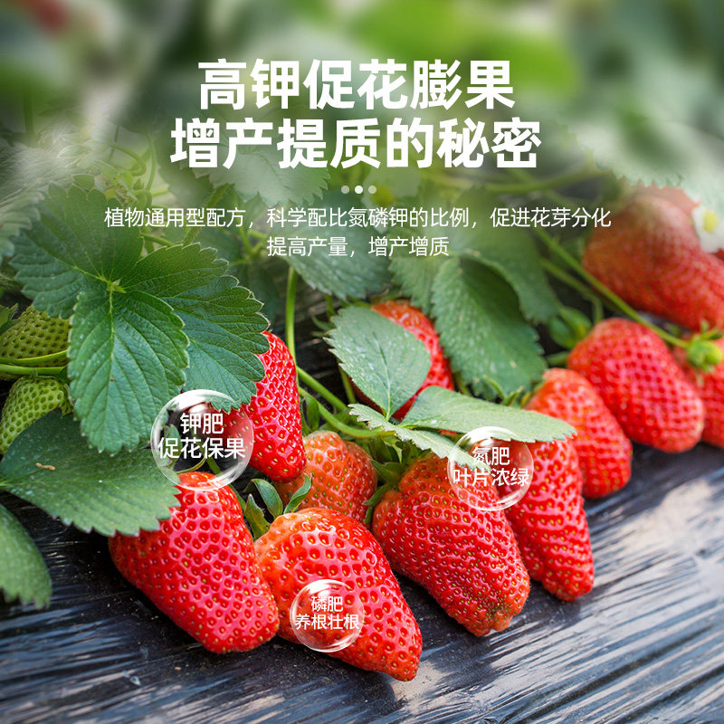 芝麻发酵饼肥有机肥生根壮苗改善土壤养花种菜通用发酵腐熟花肥料,淘宝优惠券,粉丝福利购,淘宝优惠卷