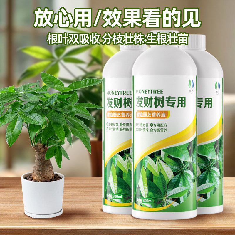 发财树专用营养液叶子发黄掉叶水培植物肥料家用花卉改善僵苗盆栽,淘宝优惠券,粉丝福利购,淘宝优惠卷