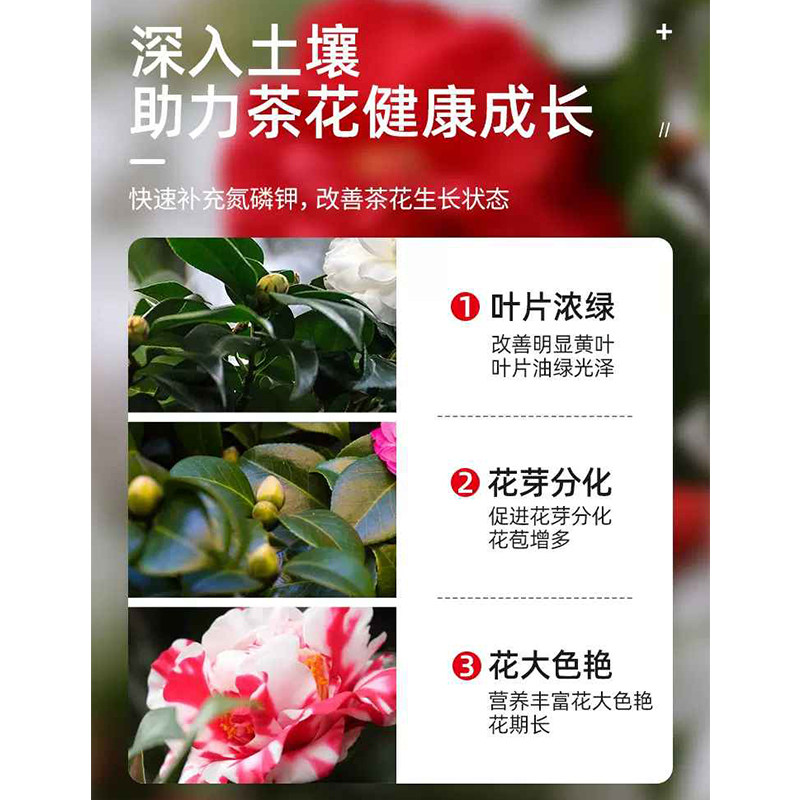营养液茶花肥料专用肥喜酸植物杜鹃茉莉绿叶促开花盆栽花卉通用型,淘宝优惠券,粉丝福利购,淘宝优惠卷