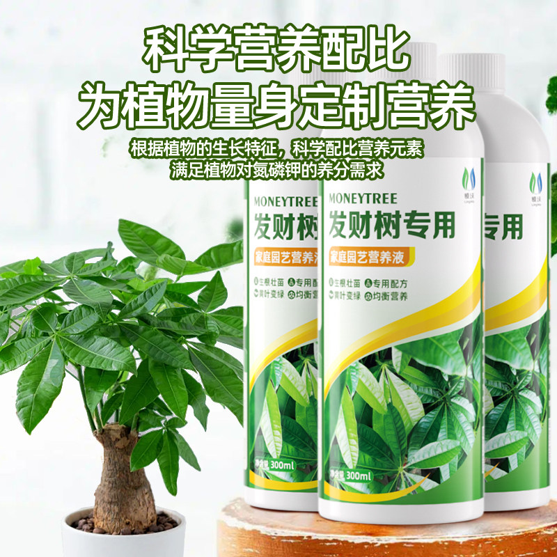 发财树专用营养液叶子发黄掉叶水培植物肥料家用花卉改善僵苗盆栽,淘宝优惠券,粉丝福利购,淘宝优惠卷