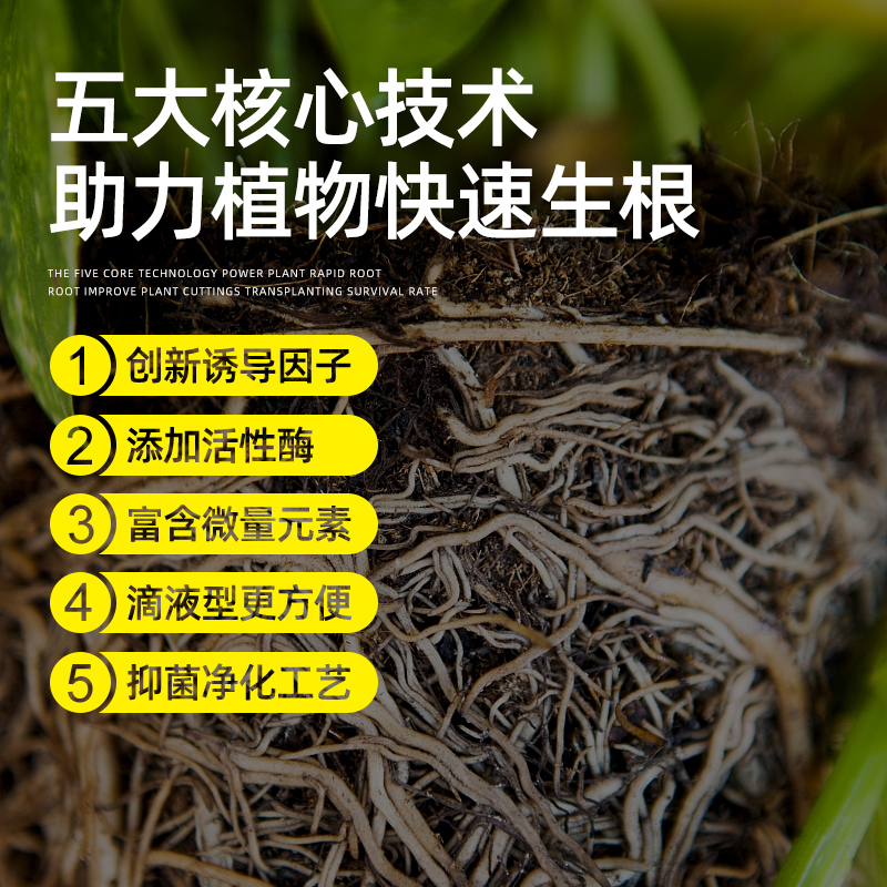 快速生根液移栽扦插生根水营养液植物通用强力花卉多肉大树生根剂 - 图0