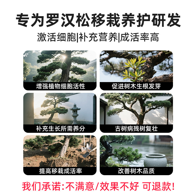 罗汉松专用营养液吊针液改善叶枯病叶子发黄松树黑松迎客松专用肥,淘宝优惠券,粉丝福利购,淘宝优惠卷