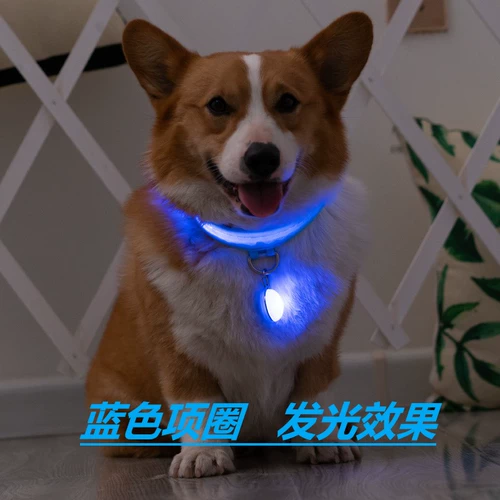 Corgi Dog Light -Emting -Emating Collar Pet Dog Shece Circle сражается с Шиба Ину Сюенари Тедди Маленький и Маленький Ину Ночи Светлый Круг Круг