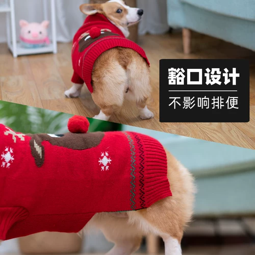 Очень красивая собачья одежда для зимних теплых свитеров