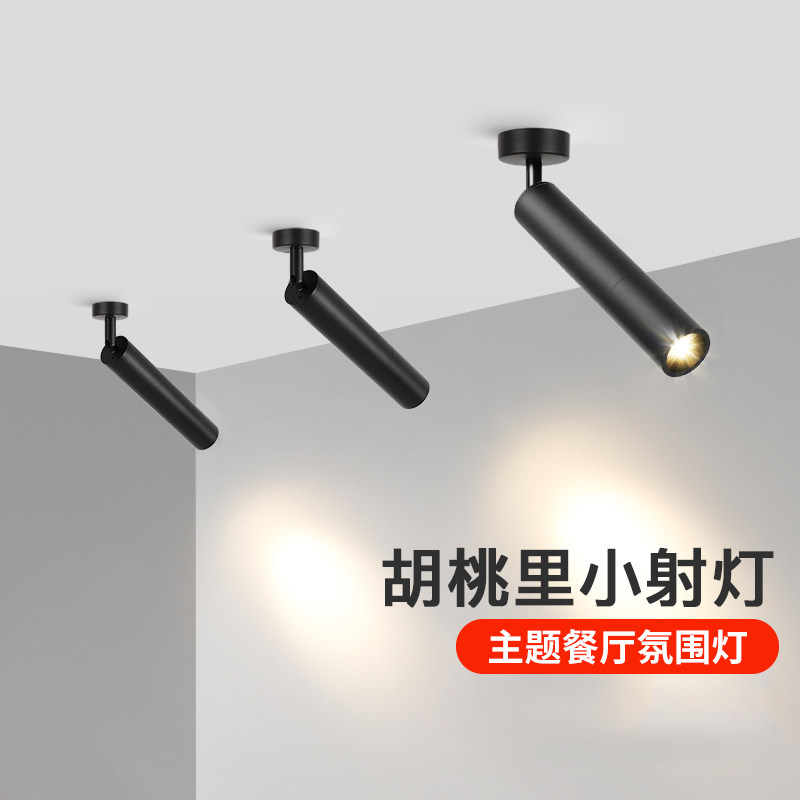聚光明装可调角度单个小射灯led家用吸顶式轨道灯背景墙餐厅射灯,淘宝优惠券,粉丝福利购,淘宝优惠卷