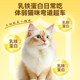 Odin cat food grade nutritional canned cat mousse texture