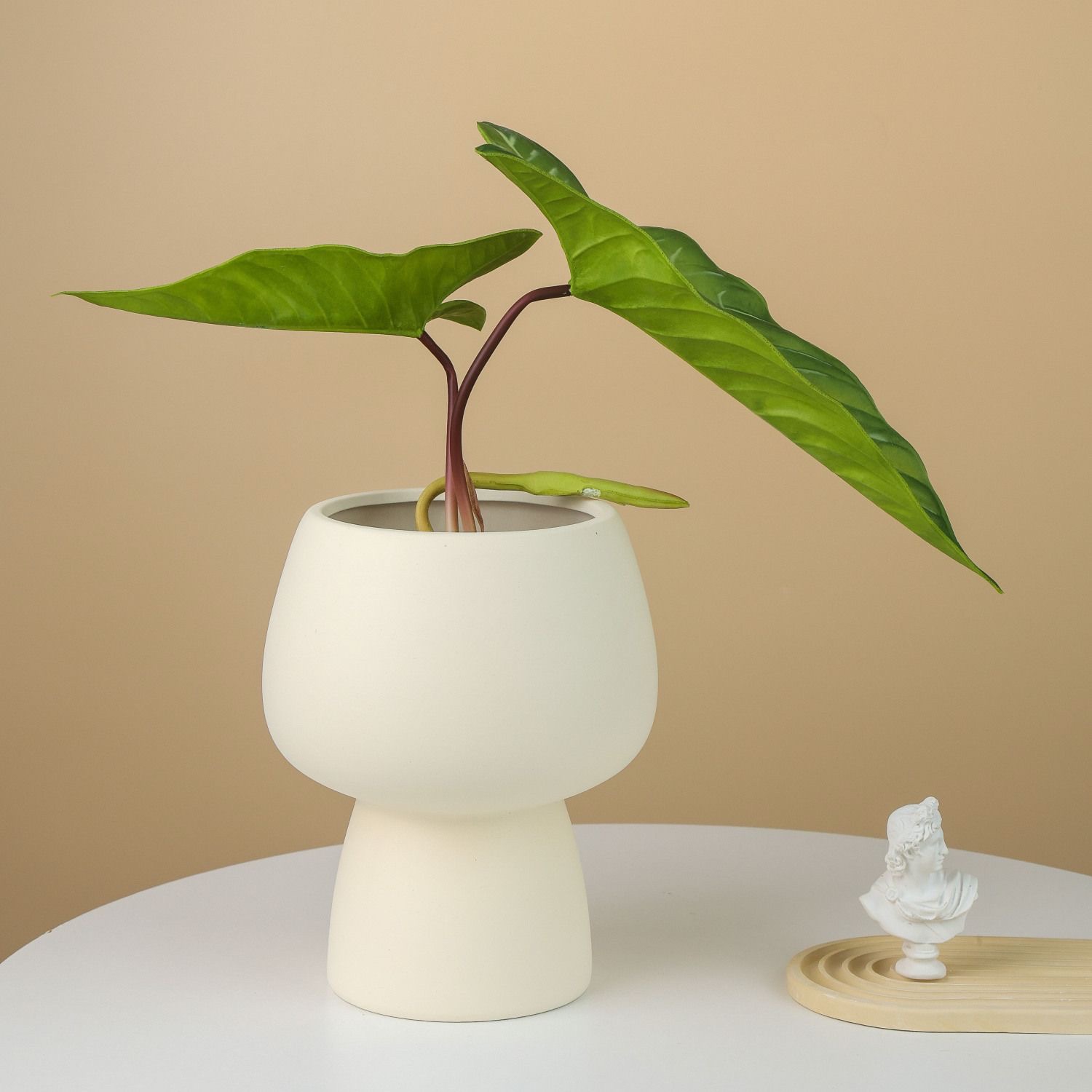 创意高档陶瓷花盆托盘高脚兰花蝴蝶兰风信子绿植花卉透气网红陶盆 - 图0