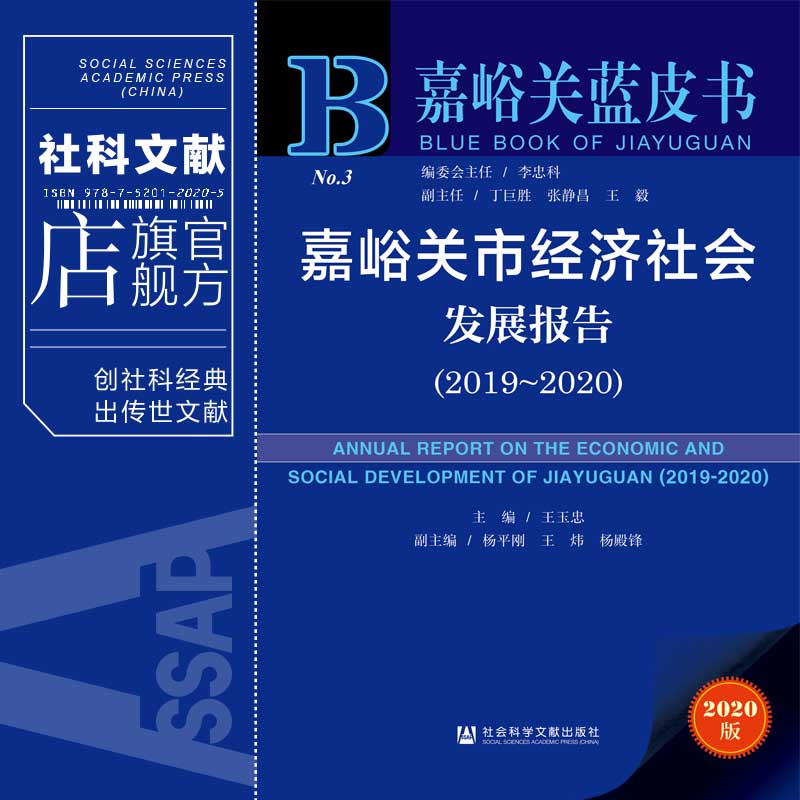 现货 官方正版 嘉峪关市经济社会发展报告（2019~2020）王玉忠 杨平刚 王炜 嘉峪关蓝皮书 社会科学文献出版社 202104 - 图0