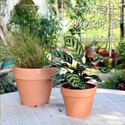 红陶盆简约阳台盆栽透气育苗蝴蝶兰多肉绿植大号花卉陶土室外花盆 - 图3