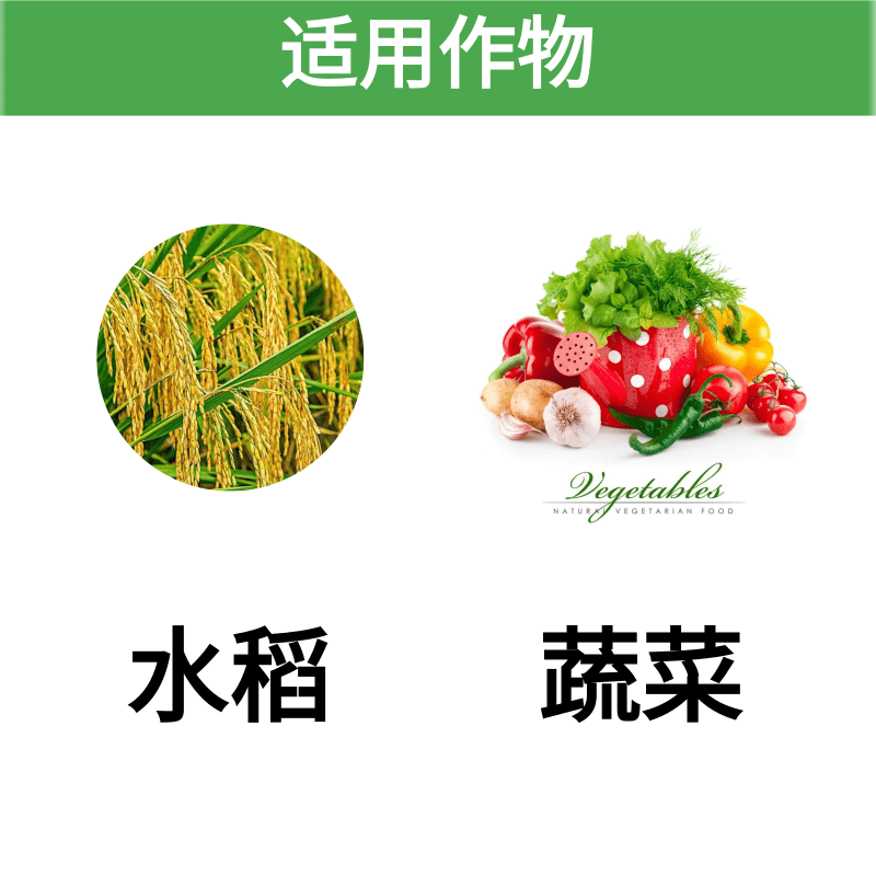 农药丁草胺安铵 水稻田封闭除草茴香菠菜辣椒蔬菜苗前除草剂农药 - 图0