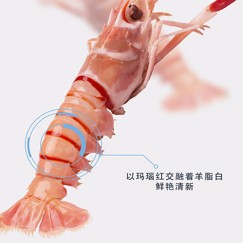 新西兰进口深海鳌虾刺身scampi斯干比南极特大小龙虾日料 1/2/3号 - 图1