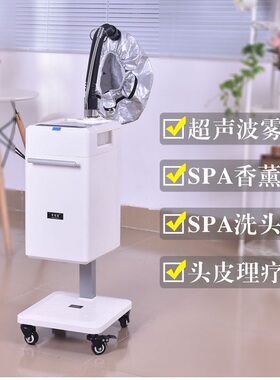发廊大功率焗油机冷热喷雾蒸头发仪器营养导入家用商用护发蒸汽机