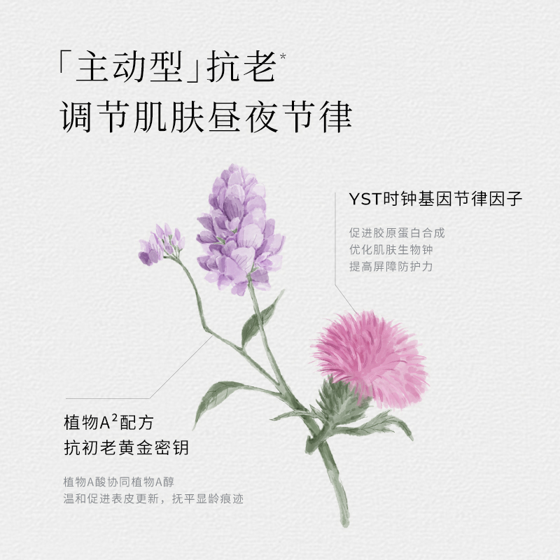 兰旗舰店LAN兰千层熬夜面霜 抗初老补水保湿熬夜救星50g1