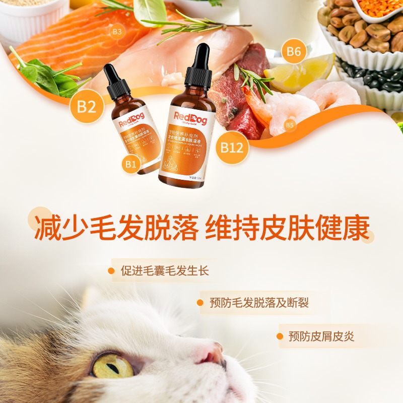 RedDog红狗猫咪狗狗用复合维生素B族溶液促食欲防口炎美毛护肤