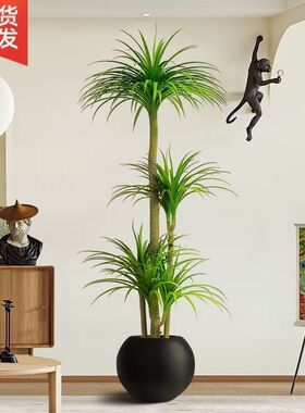 仿真绿植多头龙血树客厅室内大型轻奢仿生植物盆栽沙发落地摆件