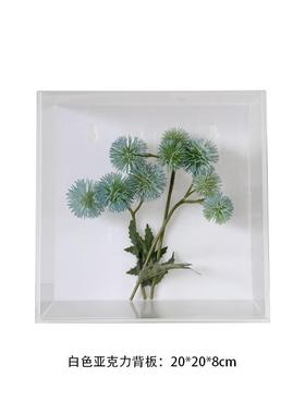 样板间儿童书房真植物标本亚克力盒表装挂墙软装饰品墙饰组合件