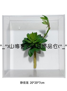 样板间儿童书房客厅暖棕绿色植物标本亚克力挂墙软装饰品墙饰组合