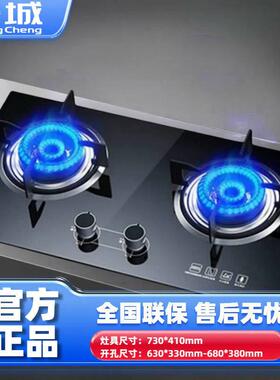 长城煤气灶双灶头家用嵌入式天然气液化气燃气灶猛火台式定时灶台