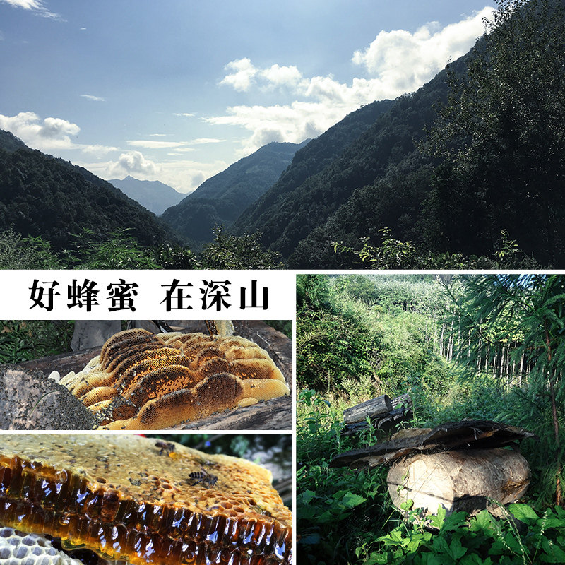 【深山老巢土蜂蜜】中华农家土蜂蜜 璞匠蜂蜜