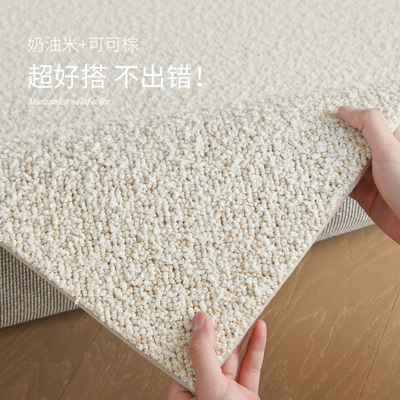 新西兰进口素色羊毛地客厅2025新款毯米绒花轻奢高级感家用室内毯