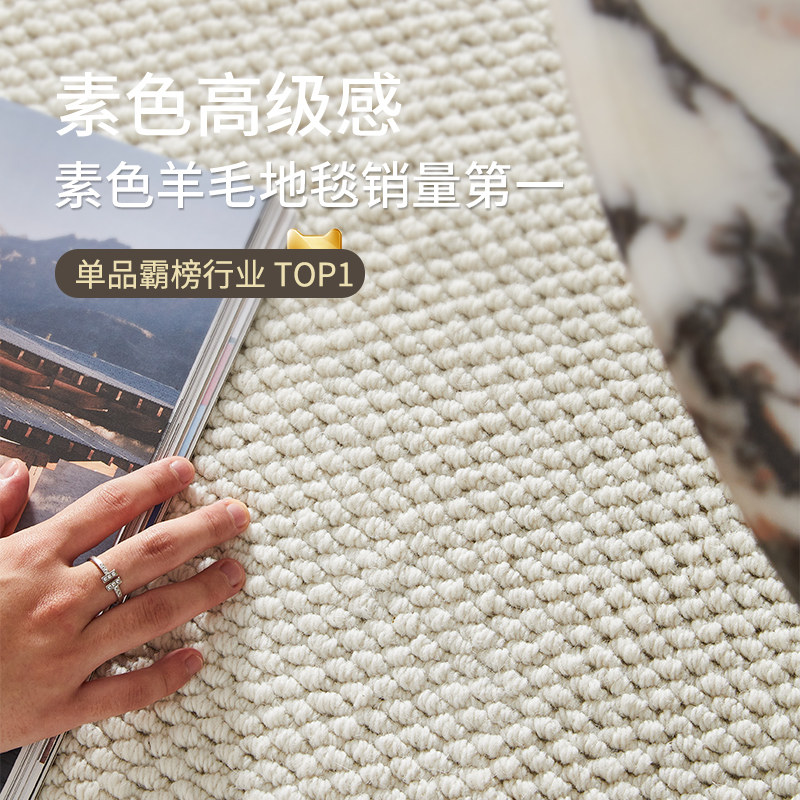 羊毛地毯客厅2026新款简约免洗可擦满铺卧室地垫子纯色轻奢高级