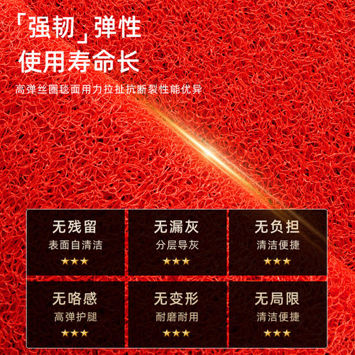新年进门地垫入户门垫高级家用喜庆门口防滑垫子地毯红色丝圈脚垫 - 图3