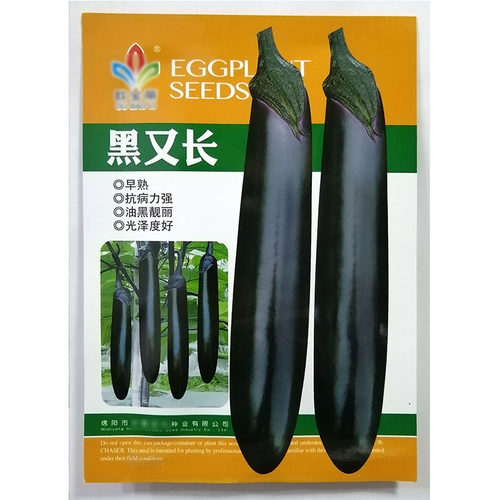 黑又长1000粒茄子蔬菜种子孑籽黑又长高产别名矮瓜吊菜子落苏紫茄 - 图3