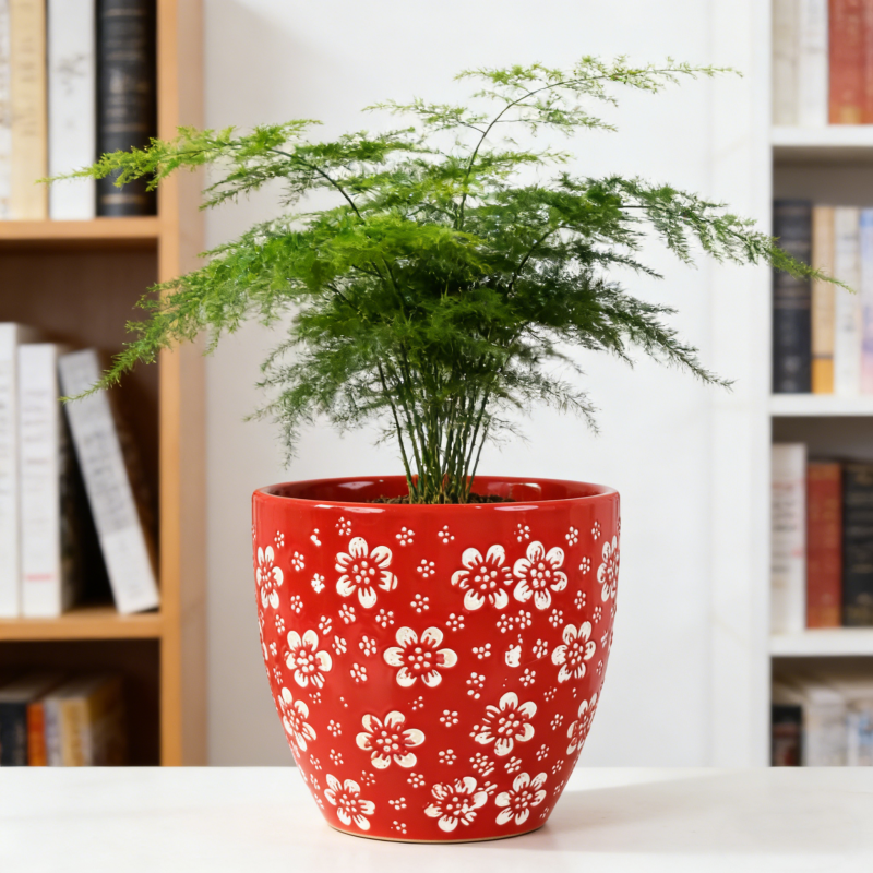 陶瓷花盆特大号绿植兰花花盆陶瓷花瓶花器桌面鹅蛋带孔送底托,淘宝优惠券,粉丝福利购,淘宝优惠卷