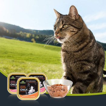 Vibrant Maple Leaf Lunch Box Staple Food Canned Cat Snacks Nutritional Fattening Grain-Free Kitten Wet Food Pack Replenishing Water 100g