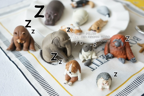 Японская подлинная панда Acupoint Cure зоопарк бездействующих животных спит и сон