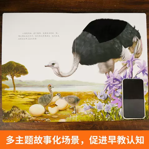 熊猫触摸书 宝宝的第一本触摸书 婴儿书早教益智玩具 0到2-3岁绘本幼儿触觉启蒙认知洞洞翻翻睡前故事书地板书本撕不烂儿童书籍 图片 5