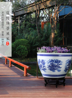景德镇陶瓷鱼缸金鱼碗莲睡莲花盆